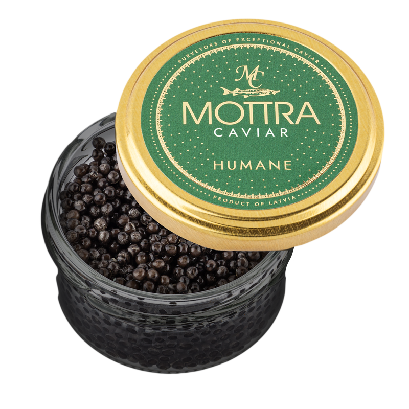 Mottra Humane black caviar (Osetra)