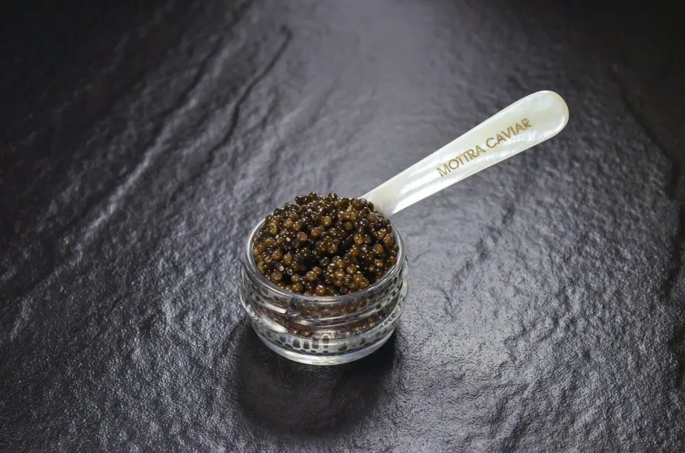 Siberian Osetra Malossol Caviar from Mottra