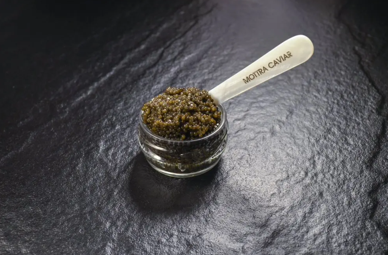 Finest Sterlet Caviar from Mottra