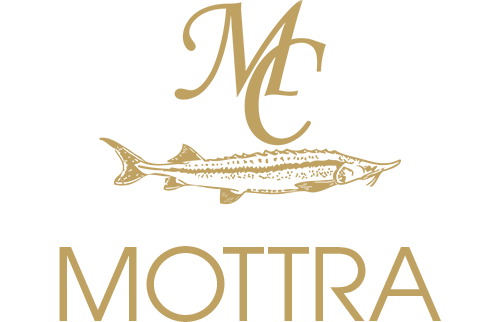 mottra-logo-main